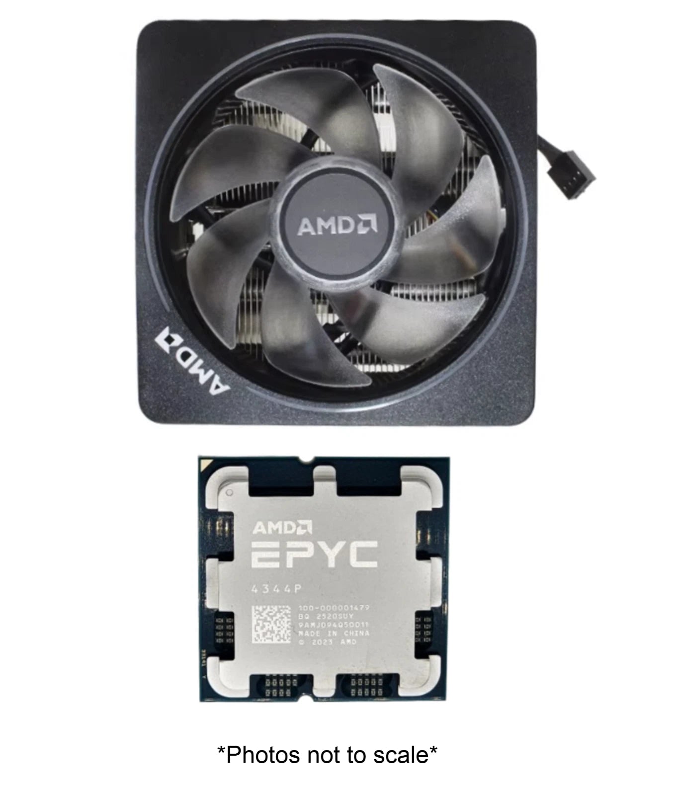 AMD EPYC 4344P Processor (8-Core / 16-Thread, 3.8–5.3 GHz, AM5) + AMD RGB Cooler